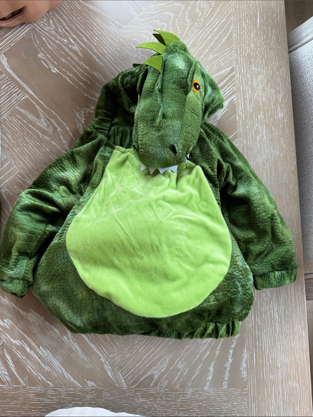 Green Dinosaur Hooded Kids Costume
